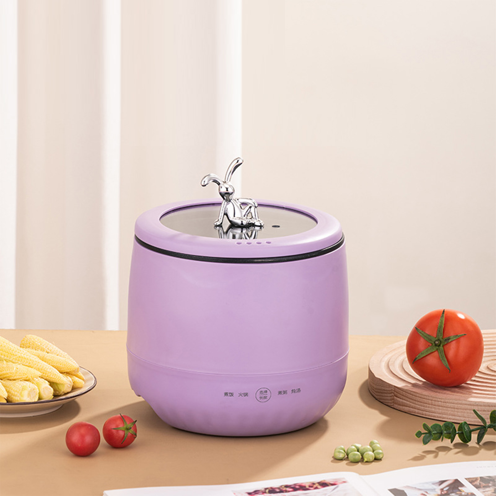 Smart Electric Mini Rice Cooke - Meal Prep With Rice recension och pris